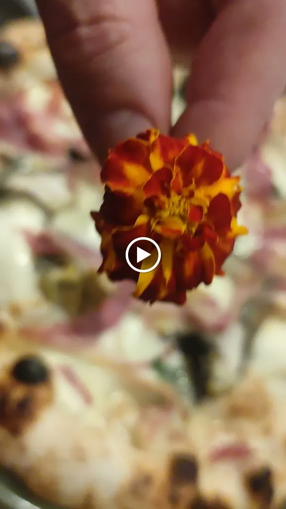 Fan-Q Pizzeria_Ginosa_slider_image_2