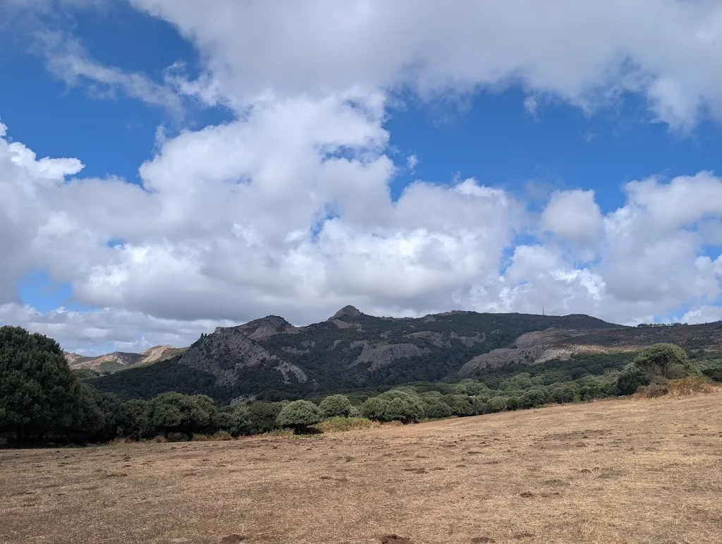 Davide Montani_Agricampeggio Elighes Uttiosos_Santu Lussurgiu_review