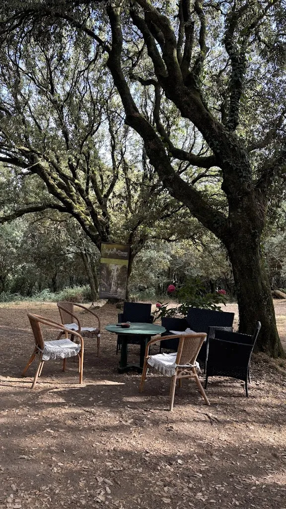 Ana Flávia_Agricampeggio Elighes Uttiosos_Santu Lussurgiu_review