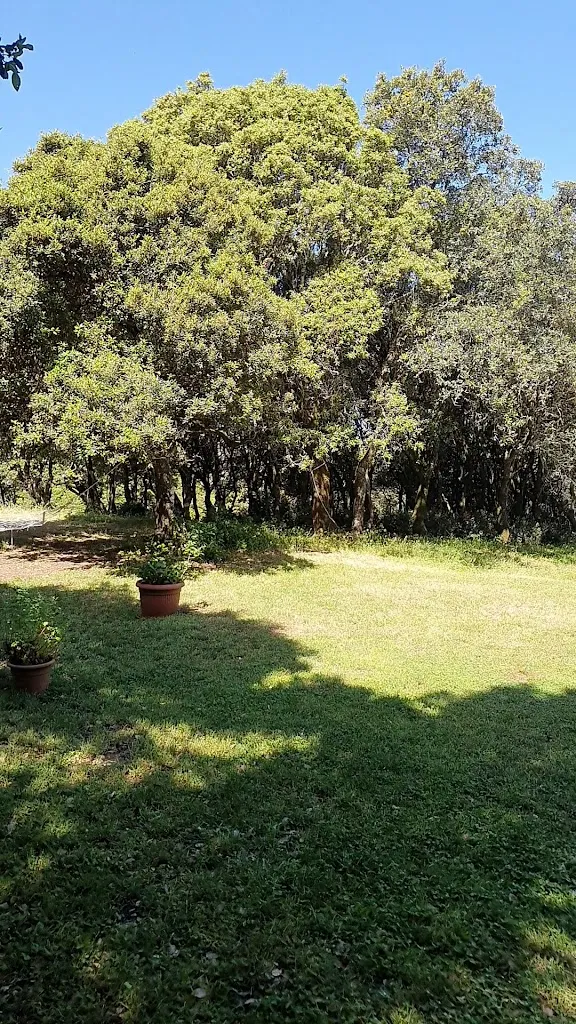 Agricampeggio Elighes Uttiosos_Santu Lussurgiu_slider_image_2