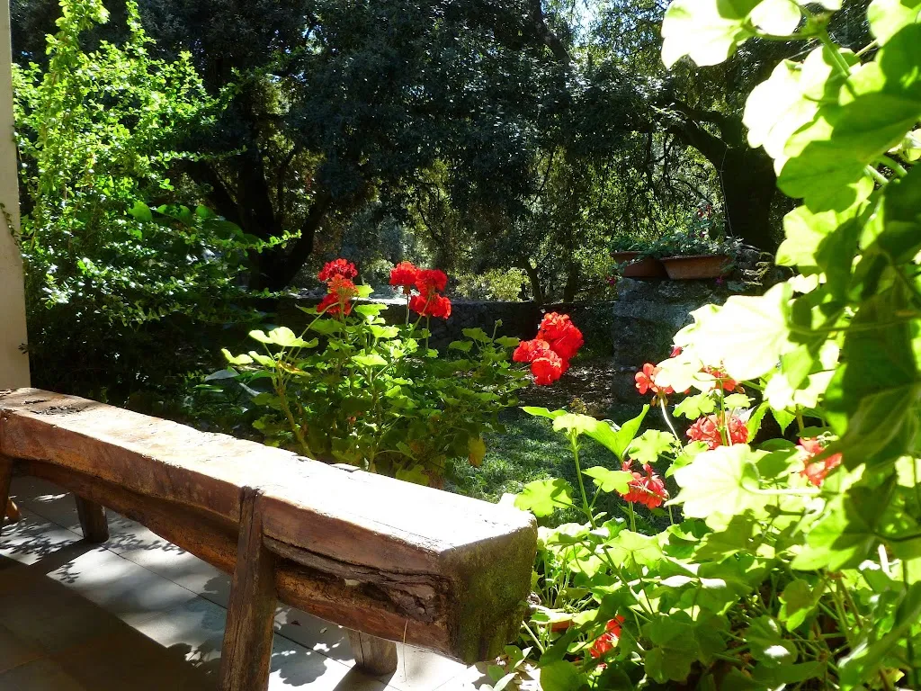 Agricampeggio Elighes Uttiosos_Santu Lussurgiu_slider_image_3