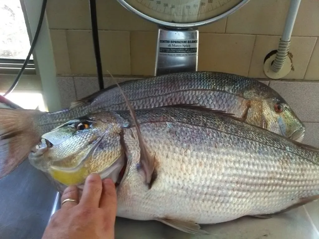 Menu_La Nuova Trattoria_Sarroch_image_3