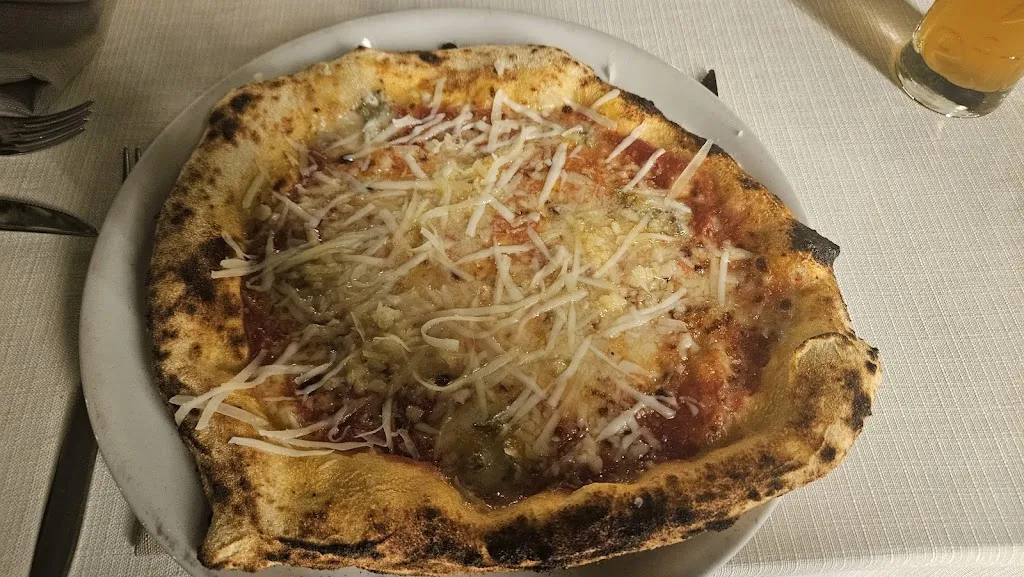 Dominik Tóth_Cross Country_Sedini_review