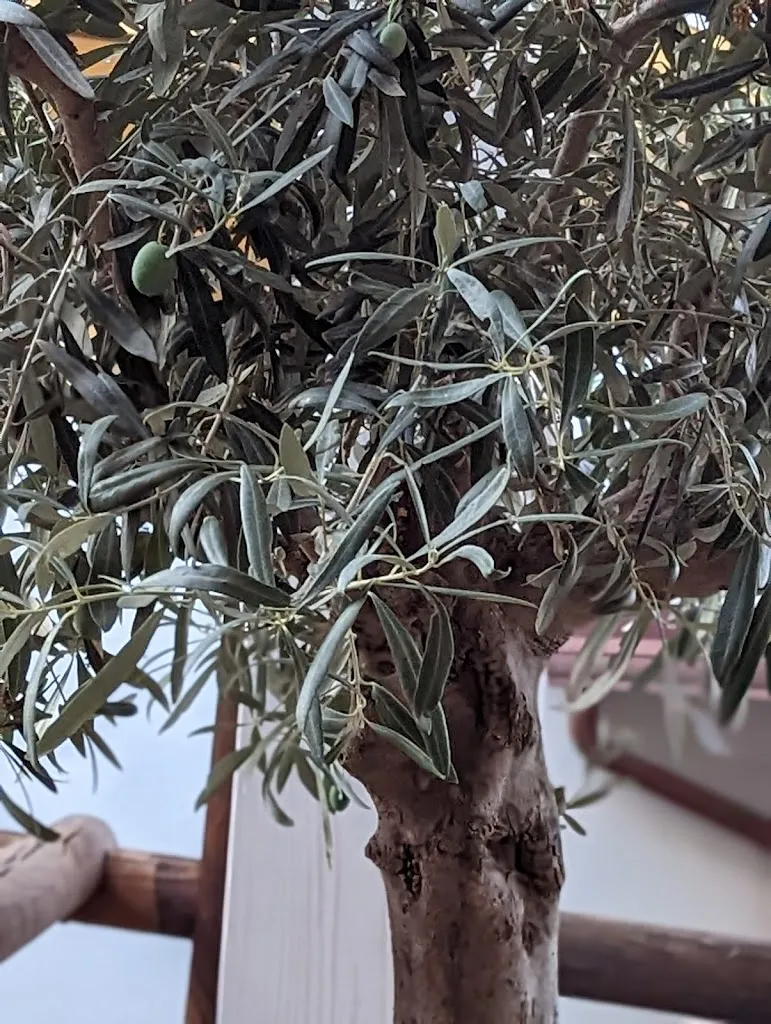 Gio_Ristorante il Commensale_Sennori_review