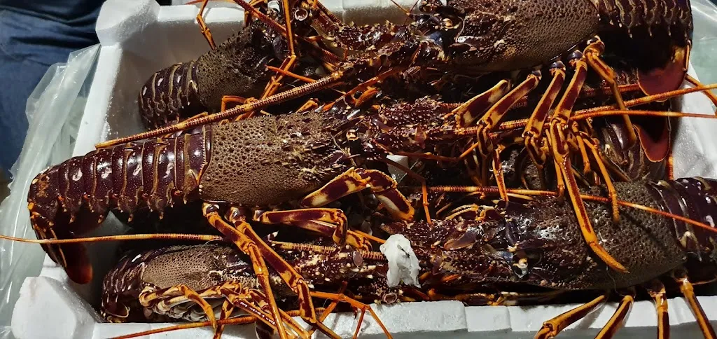 Menu_Ristorante New Girasole_Sennori_image_6