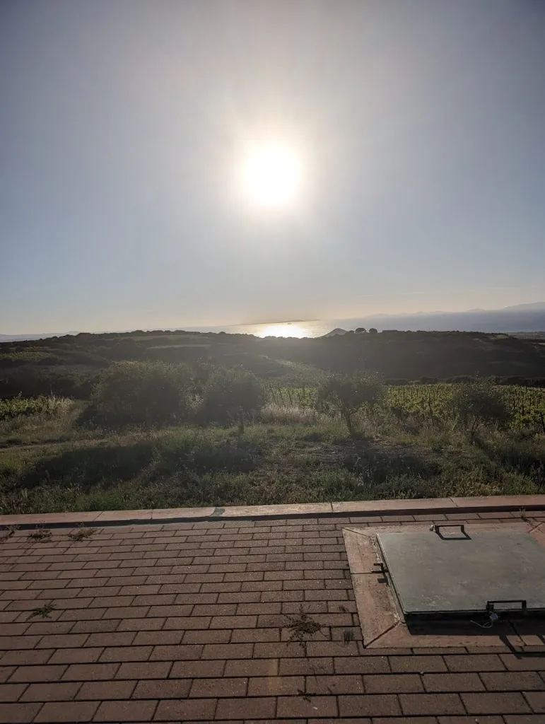 Maria Psarros_Tenute Dettori_Sennori_review