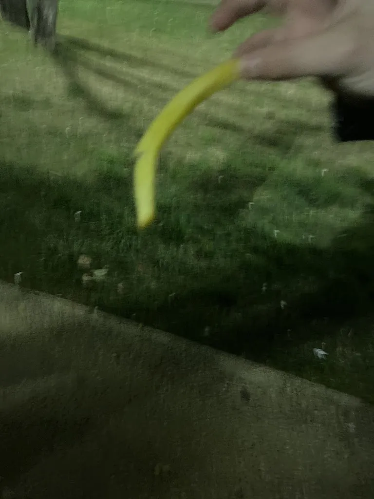 Carla Ticca_Harley-Pizza_Sennori_review