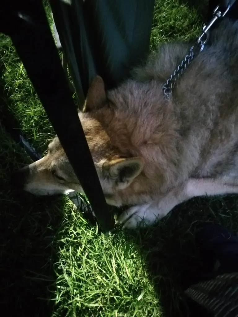 Silvia Aresu_Hammam_Senorbì_review