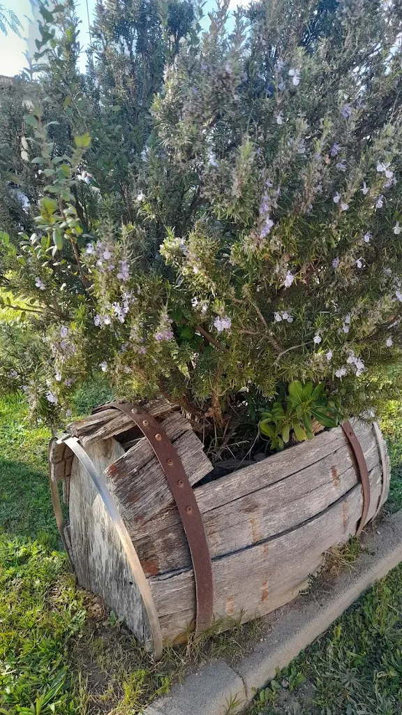 Rita Pisano_Centro Sportivo Monte Luna_Senorbì_review