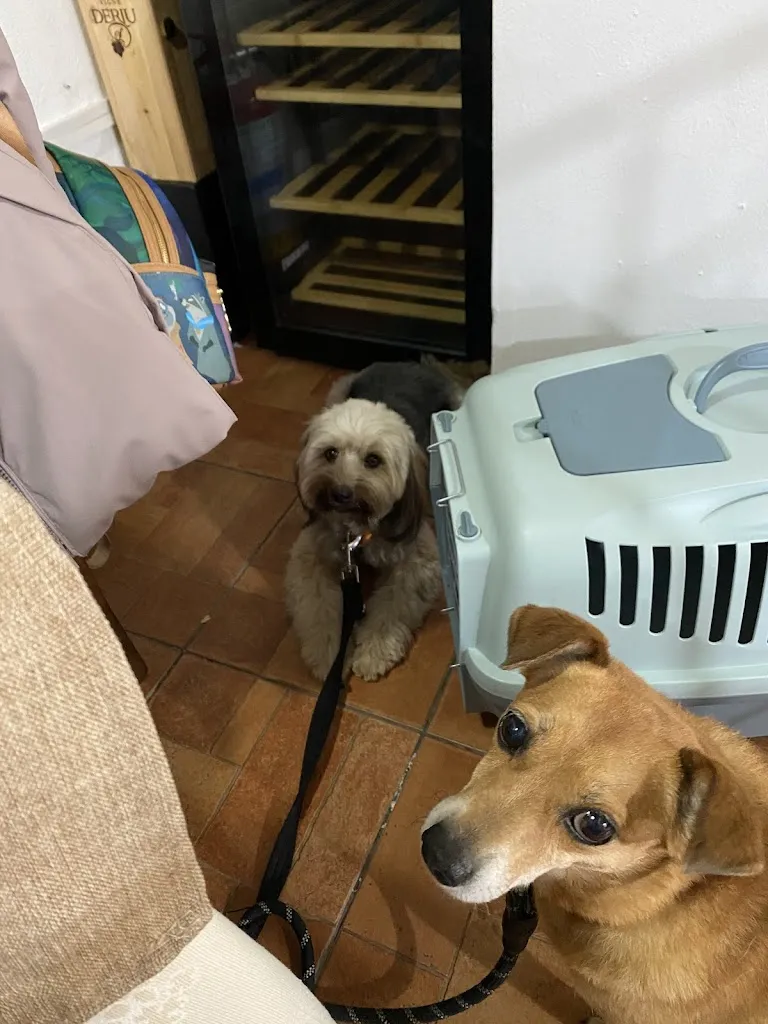 Alessandro Saba_Agriturismo Fattoria su Grabiolu_Siamanna_review