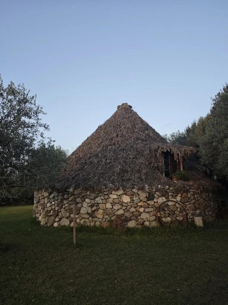 Marco M._Agriturismo Fattoria su Grabiolu_Siamanna_review