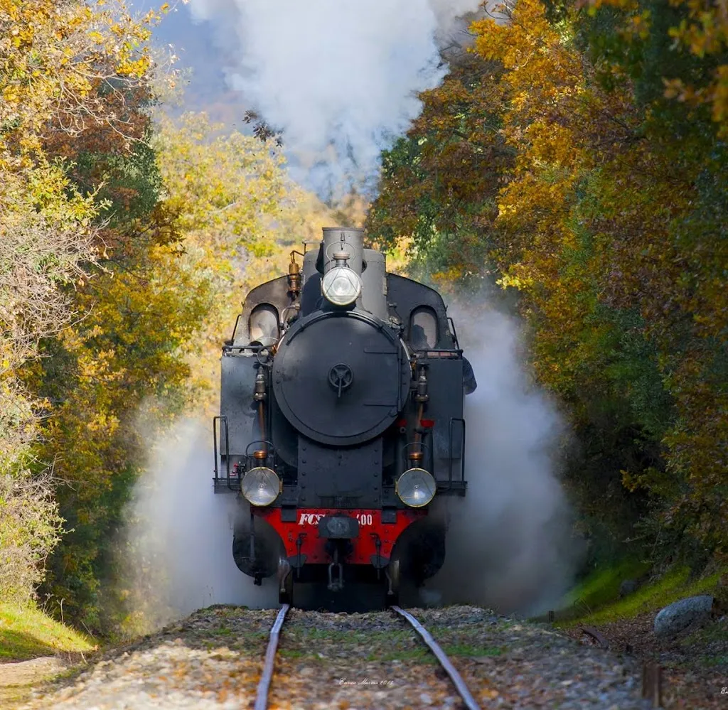 Bar Il Risveglio_Sorgono_slider_image_3