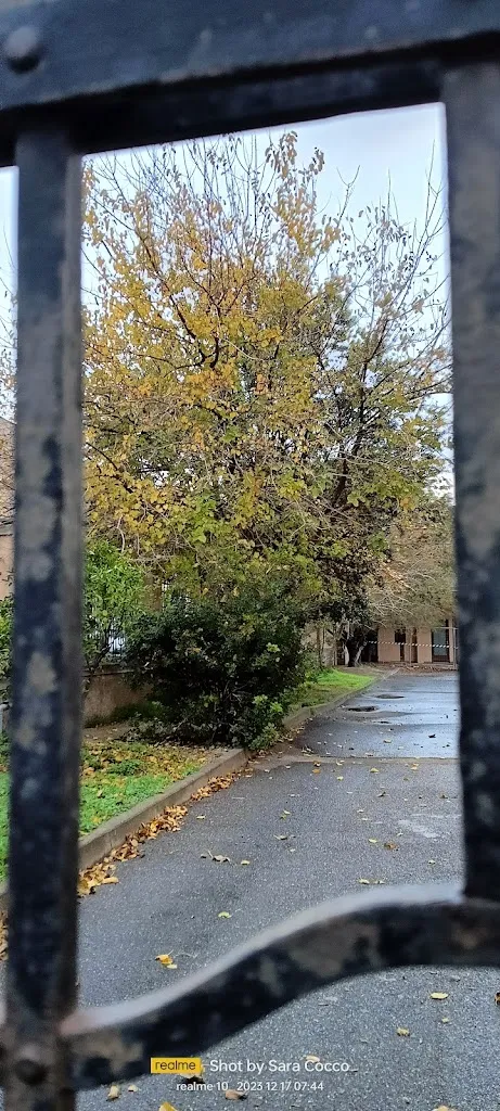 La Casa di Olivio restaurant in Sinnai