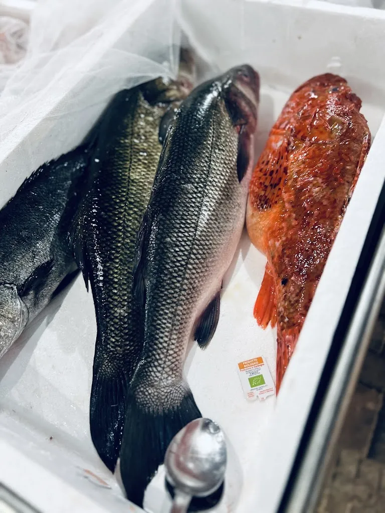 Menu_Trattoria Opera Viva_Stintino_image_7