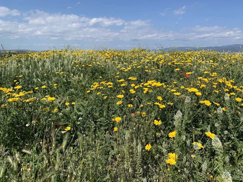 Su Planu_Su Planu_slider_image_2