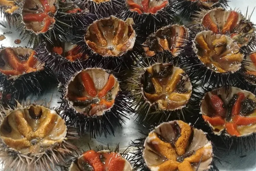 Le Meraviglie Di Mare e Terra_Su Planu_slider_image_3