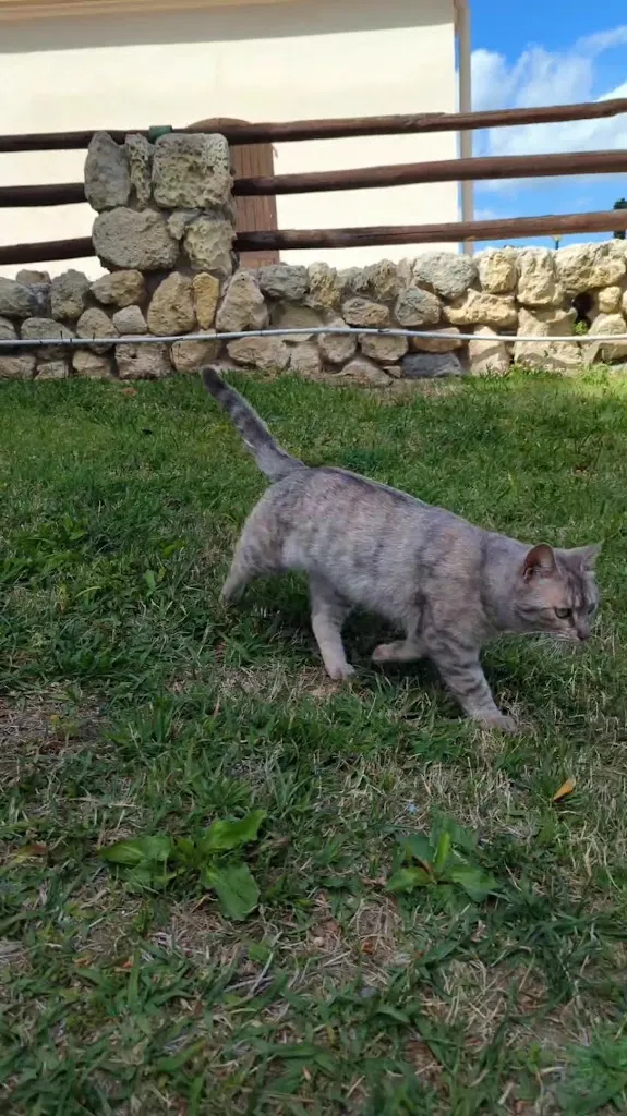 Ristorante_Su Planu_slider_image_2