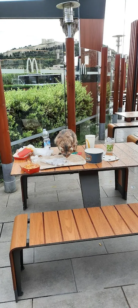 Mary_m Kyrkabai kyzy_McDonald's Cagliari Peretti_Su Planu_review