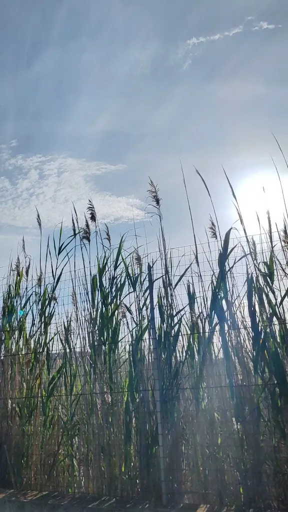 Licenciada en Psicología Gabriela Pereira_Verticalpark Sardinia Indoor_Sestu_review