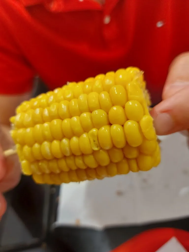 Menu_KFC_Sestu_image_6