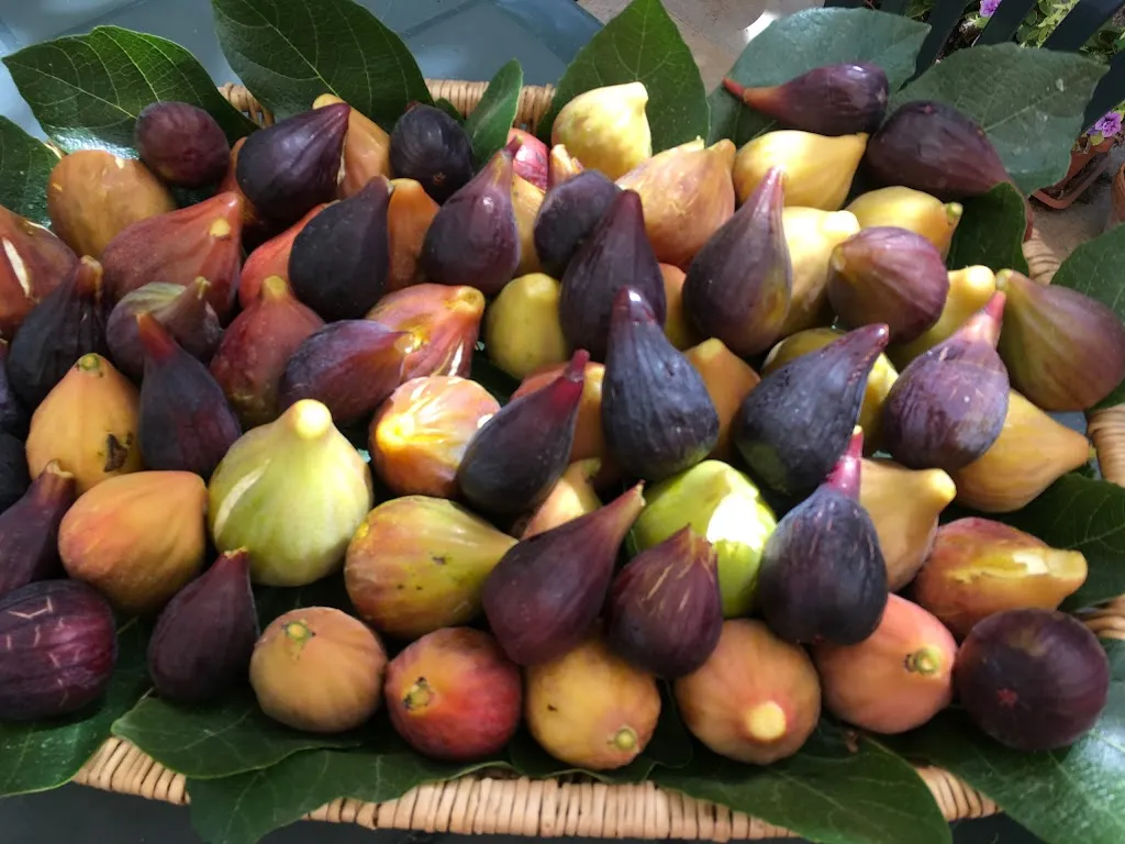 Menu_PepeRosa_Guagnano_immagine_4