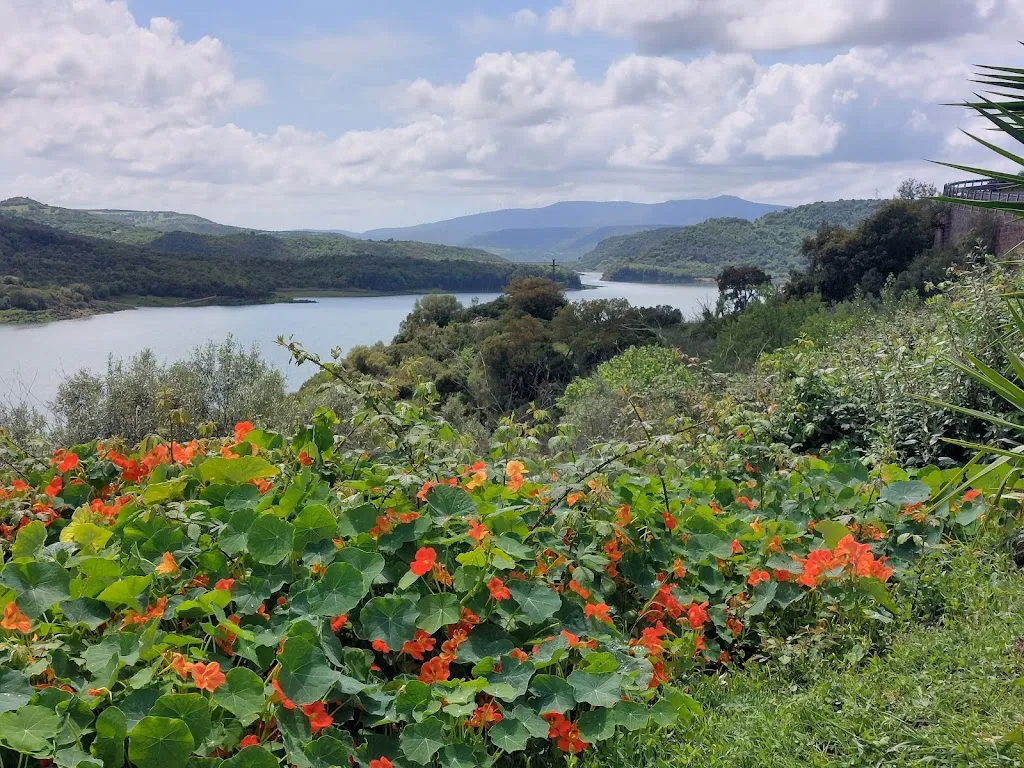 David Bugler_Cantinedda_Ulà Tirso_review