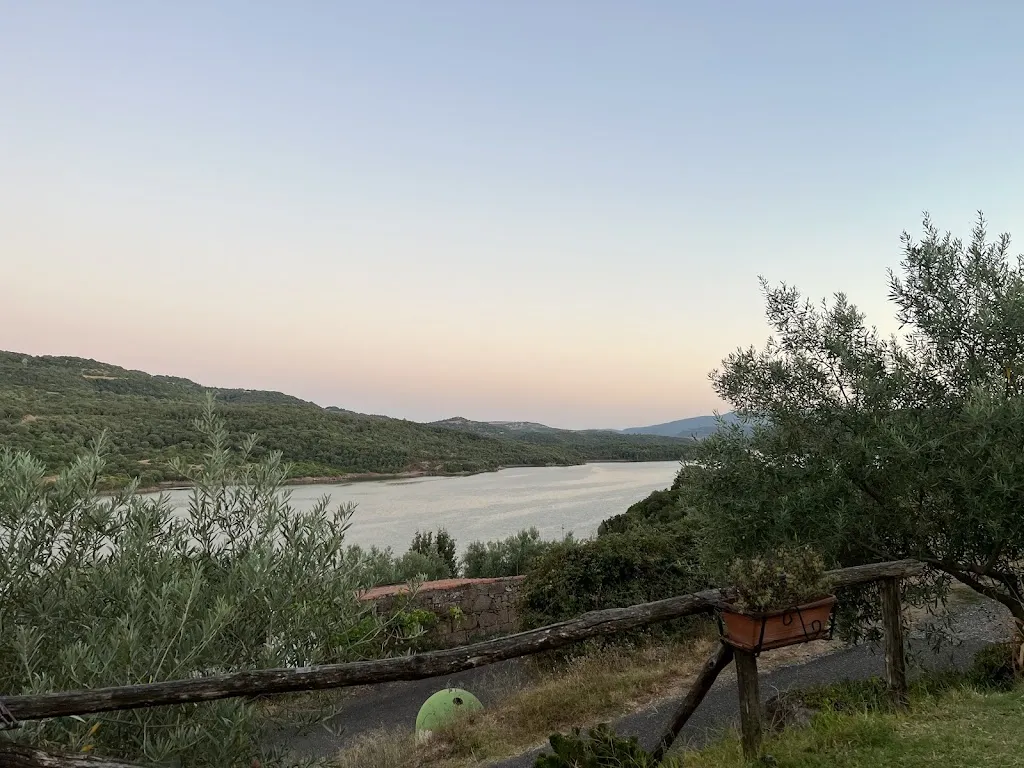 Javier Cibils Madero_Cantinedda_Ulà Tirso_review