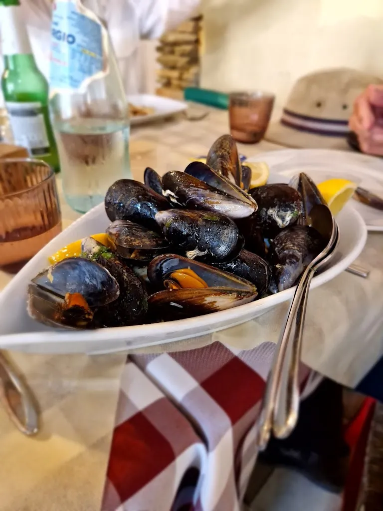 Richmond Walker_Rosa e Cadira_Teulada_review