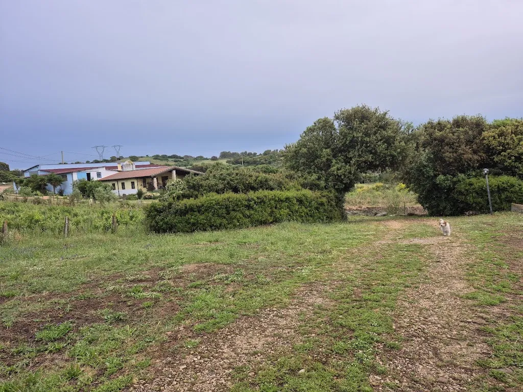 Agriturismo Nuraxi e Pinna_Usellus_slider_image_2