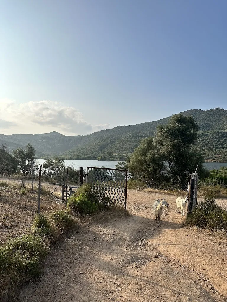 Richard Mortimer_Agriturismo Nuraghe Murtarba_Villagrande Strisaili_review