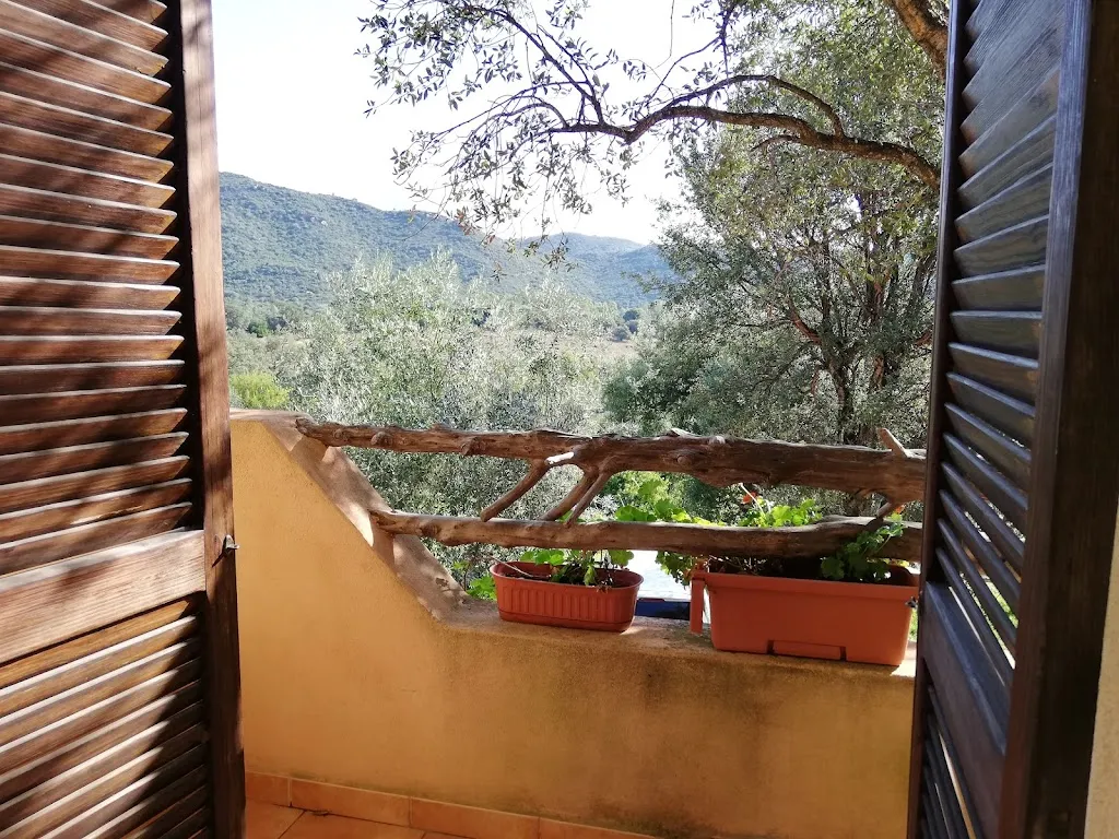 Martn S_Agriturismo Nuraghe Murtarba_Villagrande Strisaili_review