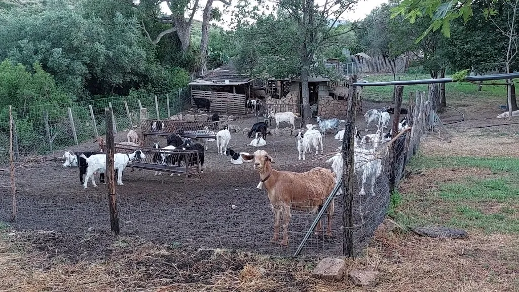 Agriturismo Nuraghe Murtarba_Villagrande Strisaili_slider_image_2