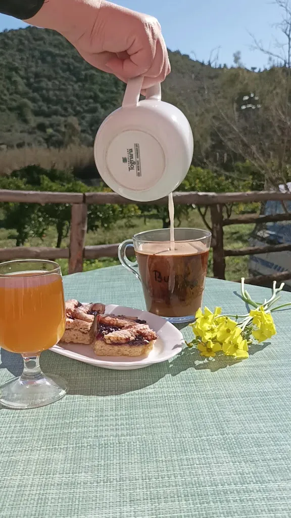 Agriturismo Menhir restaurant in Villagrande Strisaili