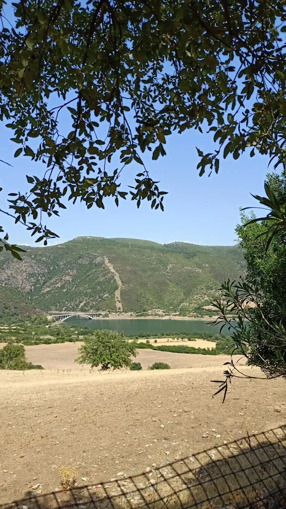 Eleonora Orrú_Agriturismo Sa Contonera_Villanova Tulo_review