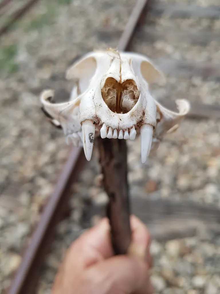 Agriturismo Sa Contonera_Villanova Tulo_slider_image_3