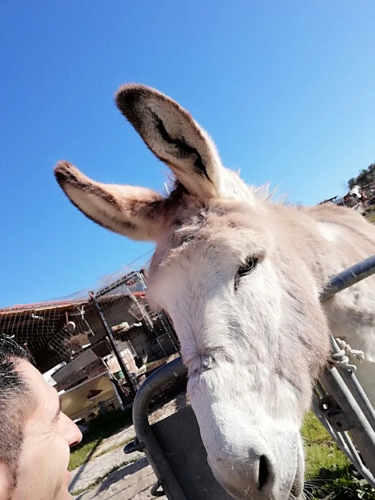Agriturismo Su Gagliardu_Villanovafranca_slider_image_3