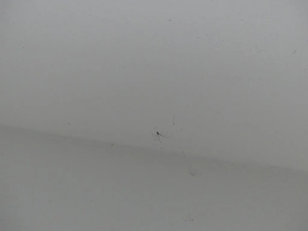 Noemi Carceles_Hotel Locanda Minerva_Villanova Monteleone_review