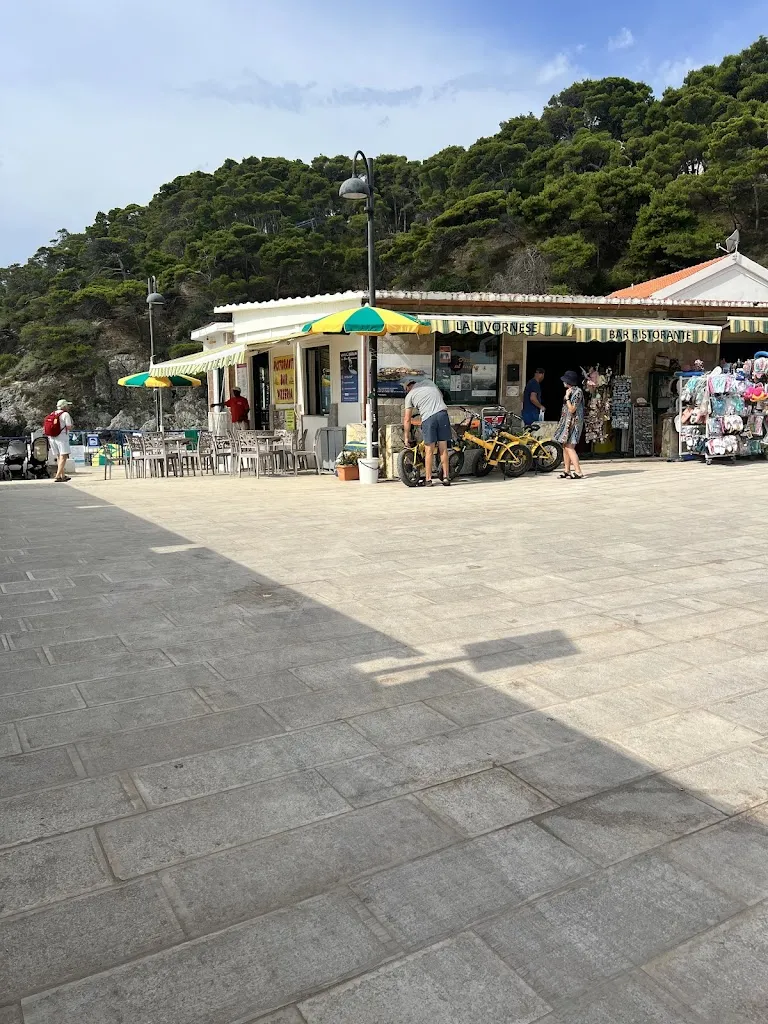 Mina L_Ristorante La Livornese Di Giuseppe Calabrese_Isole Tremiti_review