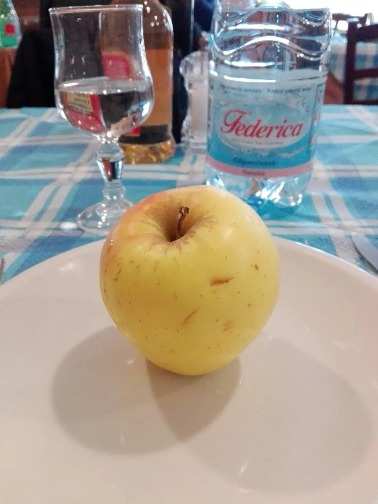 Matteo Cisotto_Alexander_Villasor_review