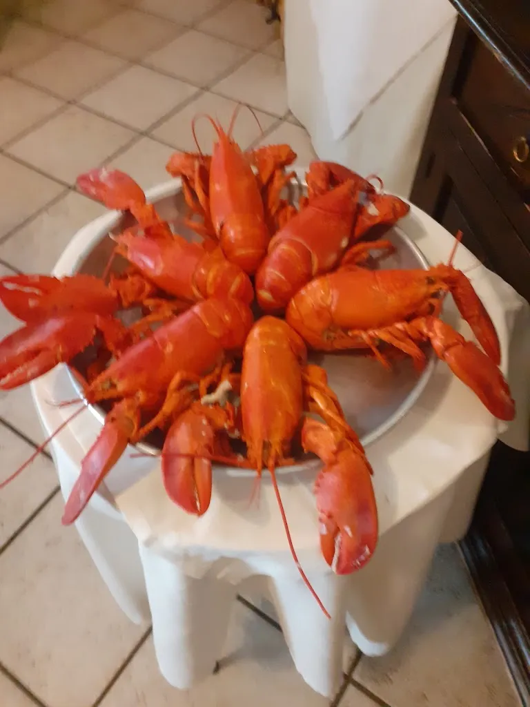 Menu_Bar Green_Villasor_image_9