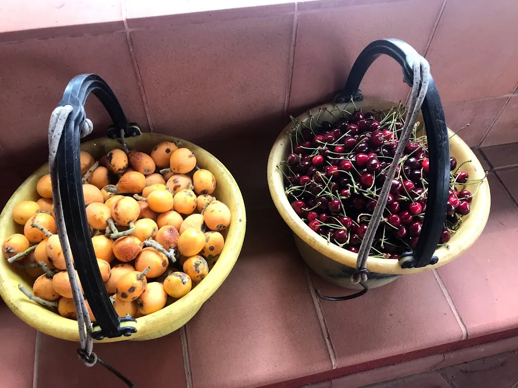 Menu_Agriturismo Fossa Lupo_Aci Sant'Antonio_image_8