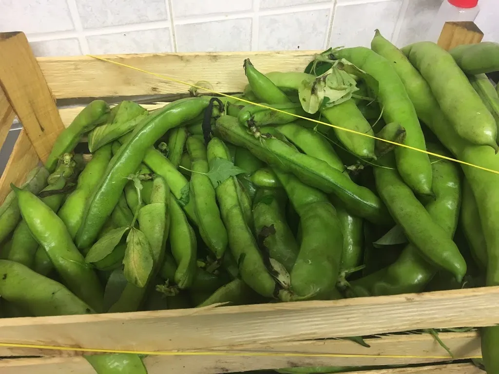 Agriturismo Fossa Lupo_Aci Sant'Antonio_slider_image_3