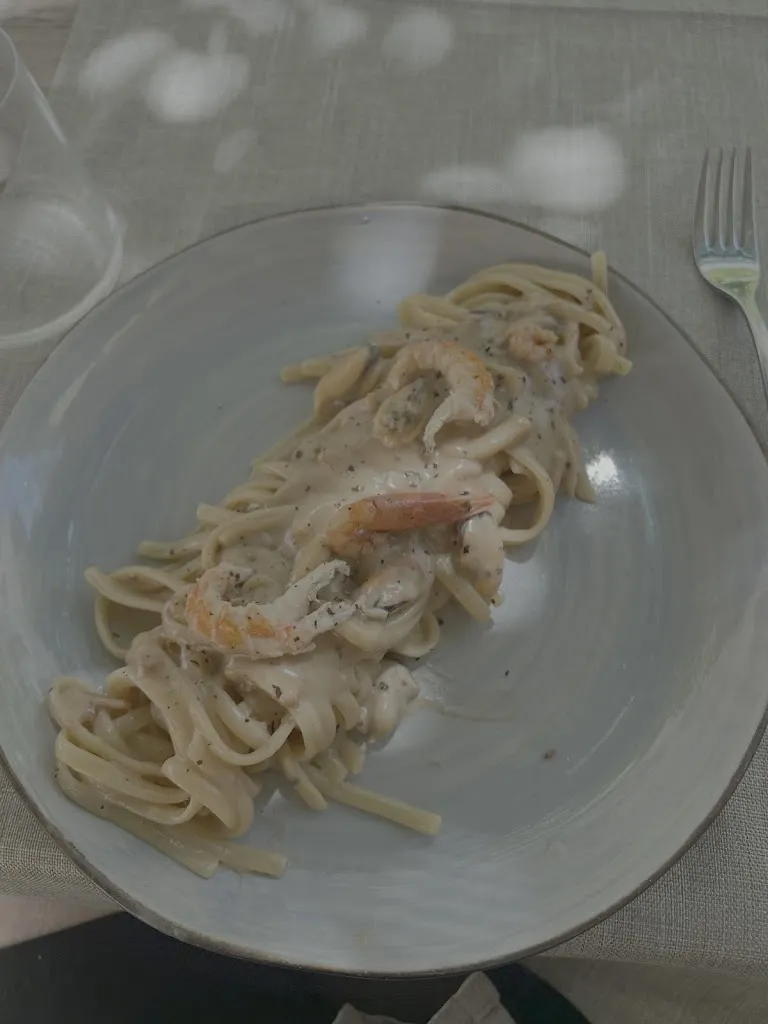 Gilles Willems_Casabianca Restaurant_Agliandroni-Paternella_avis