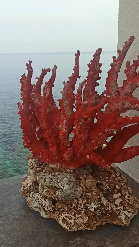 Barinello City_Agliandroni-Paternella_slider_image_2