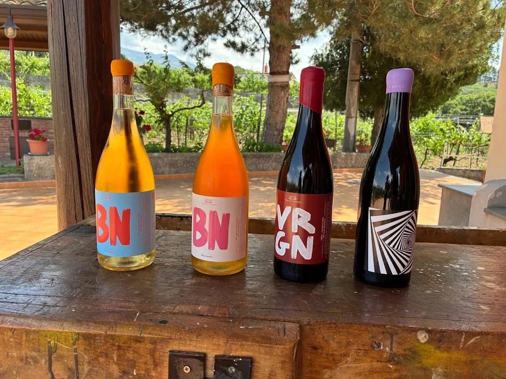 Lídia Timoneda_Vigne di Confine_Adrano_recensione