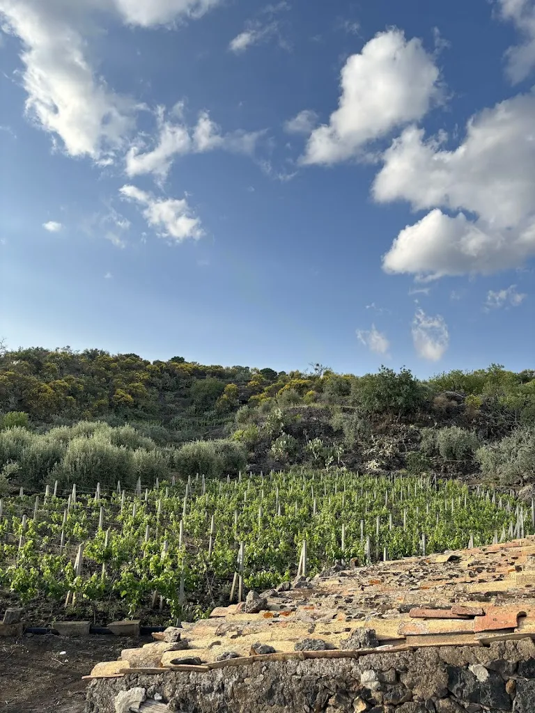 Vigne di Confine restaurant in Adrano