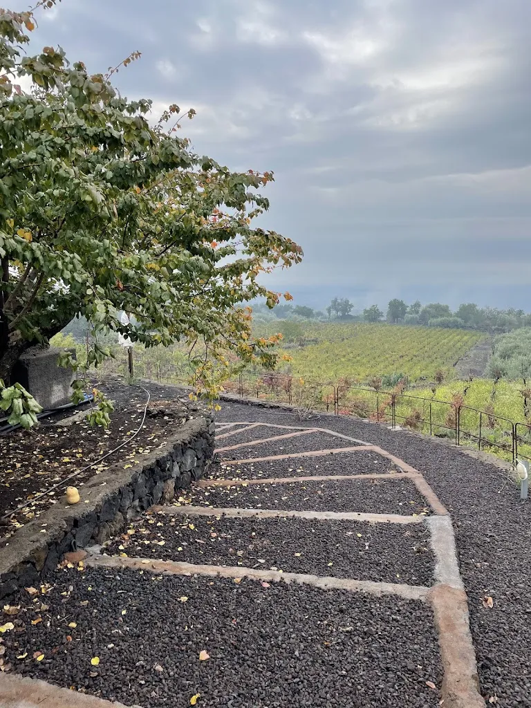 Aurora Ferrigno_PODERE DELL' ETNA SEGRETA - Essential Nature Hotel & Glamping_Adrano_review