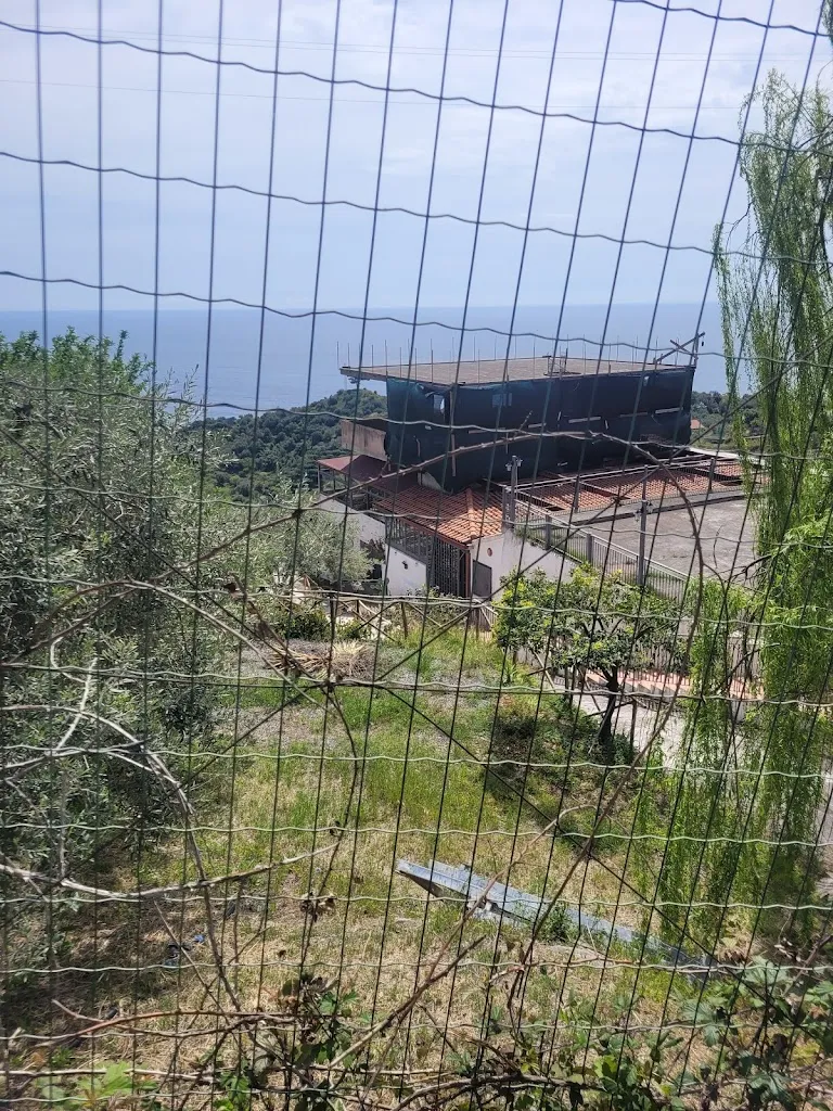 La Braceria_Alì Terme_slider_image_3