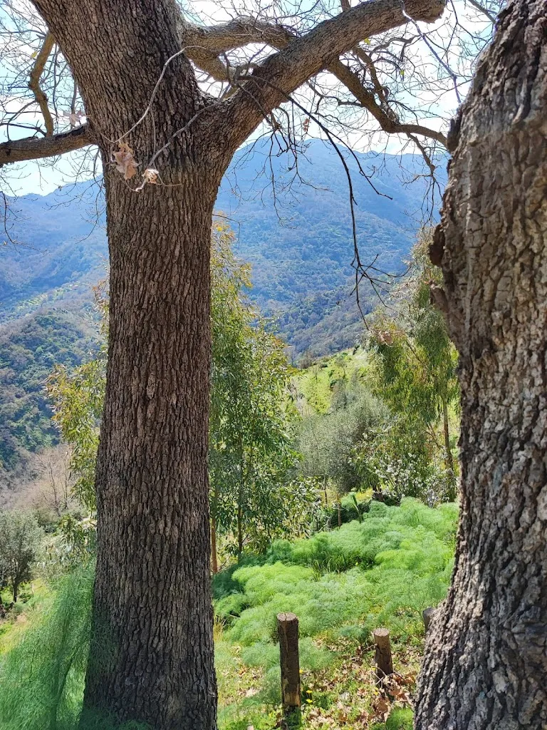 Giuseppe Sinatra_Agriturismo Bongiorno_Antillo_review