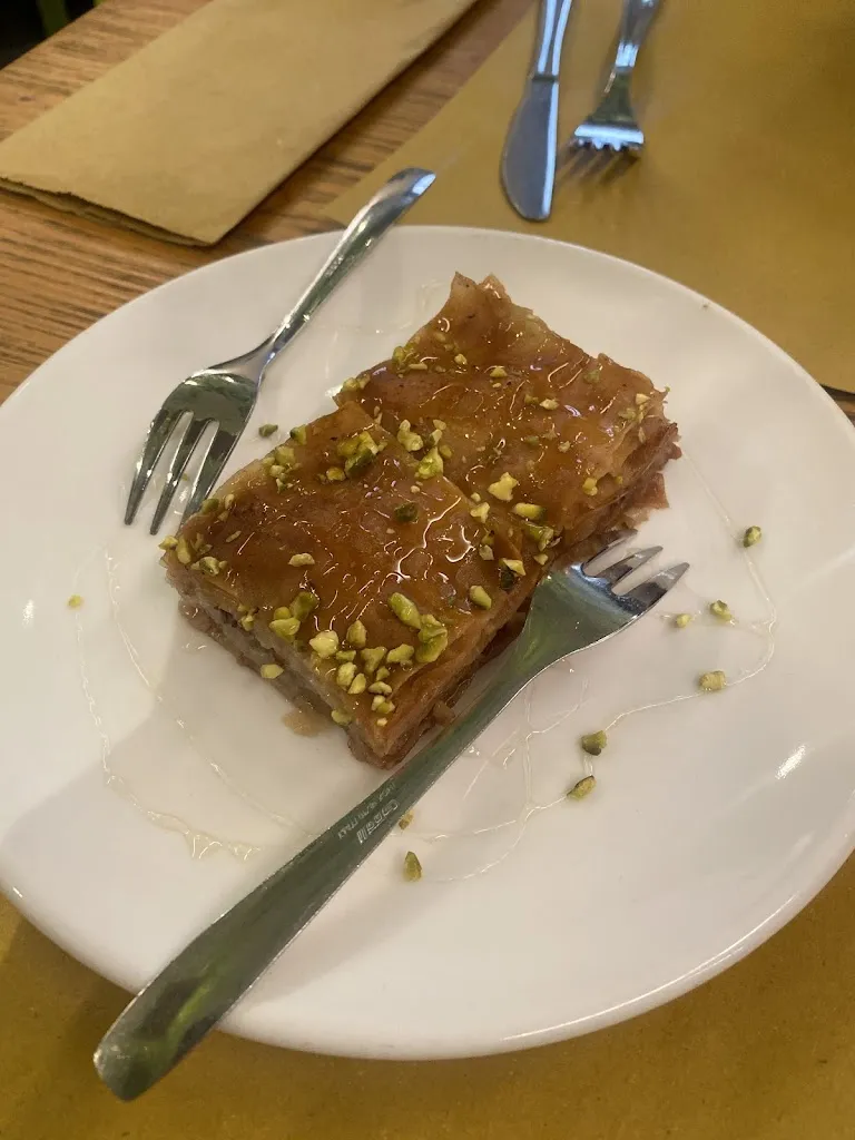 RIDA ZAYN_Moltivolti_Aliminusa_review